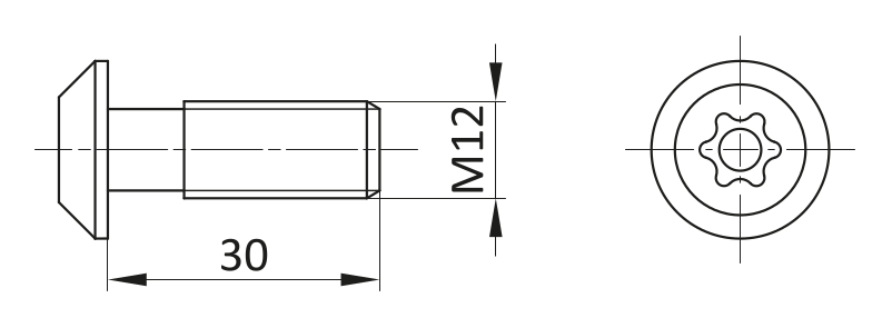 Śruba Centralna M12x30 [10]